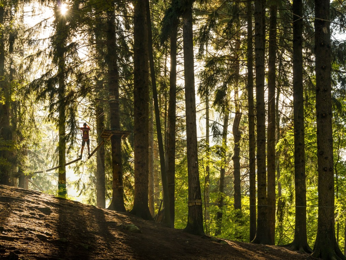 Percorso avventura al tramonto al Jungle Raider Park